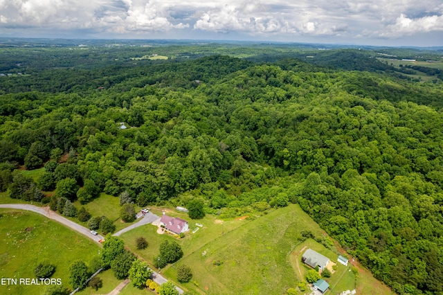 4464 W Countryside W, Friendsville, TN 37737 - photo 55