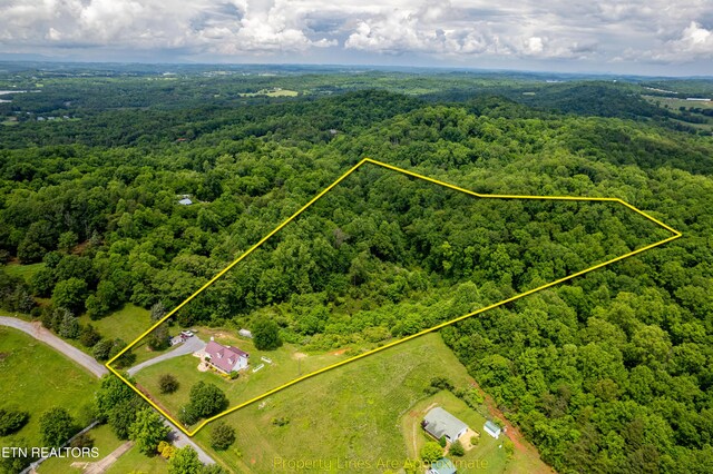 4464 W Countryside W, Friendsville, TN 37737 - photo 56