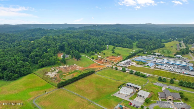 3635 Louisville Rd, Louisville, TN 37777 - photo 1