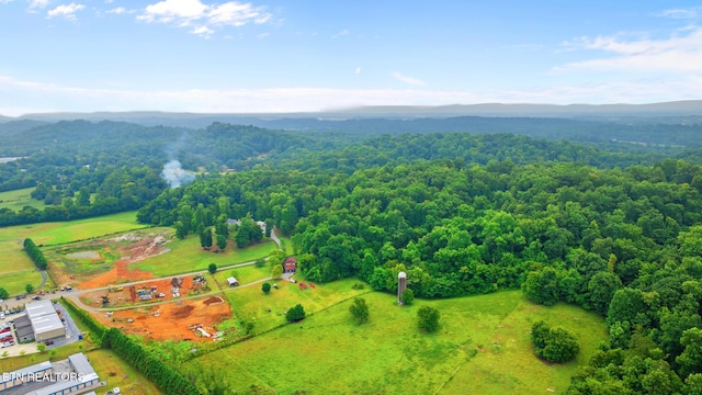 3635 Louisville Rd, Louisville, TN 37777 - photo 4