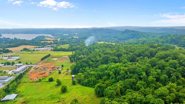 3635 Louisville Rd, Louisville, TN 37777 - photo 5