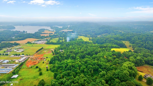 3635 Louisville Rd, Louisville, TN 37777 - photo 6