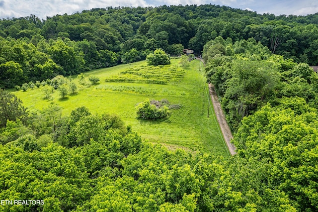 219 Bunch Ln, Clinton, TN 37716 - photo 8