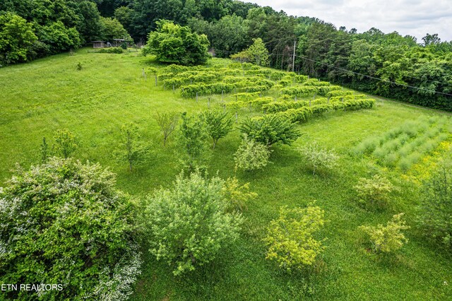219 Bunch Ln, Clinton, TN 37716 - photo 10