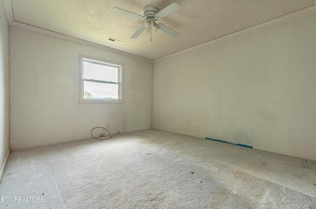 219 Bunch Ln, Clinton, TN 37716 - photo 27