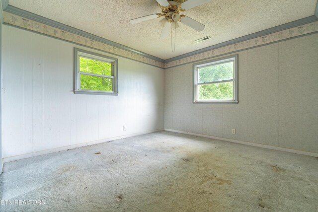219 Bunch Ln, Clinton, TN 37716 - photo 30