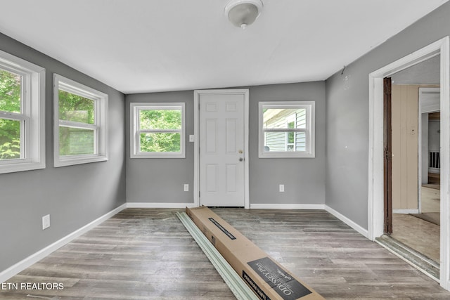 401 Offutt Spur Rd, Rocky Top, TN 37769 - foyer entrance with plenty of natural light, wood finished floors, and baseboards