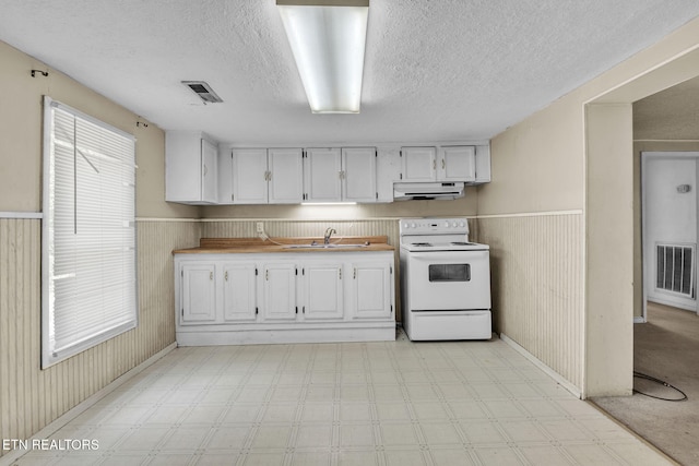 401 Offutt Spur Rd, Rocky Top, TN 37769 - kitchen with white electric range oven, ventilation hood, a sink, a wainscoted wall, and light floors