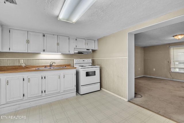 401 Offutt Spur Rd, Rocky Top, TN 37769 - kitchen featuring electric stove, a sink, under cabinet range hood, a wainscoted wall, and white cabinetry