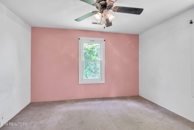 401 Offutt Spur Rd, Rocky Top, TN 37769 - spare room with carpet and a ceiling fan
