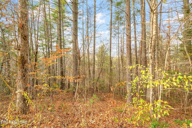 167 Balfour Dr, Harriman, TN 37748 - photo 3