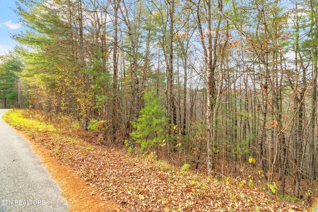 167 Balfour Dr, Harriman, TN 37748 - photo 4