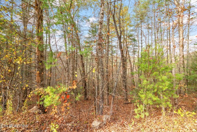 167 Balfour Dr, Harriman, TN 37748 - photo 5