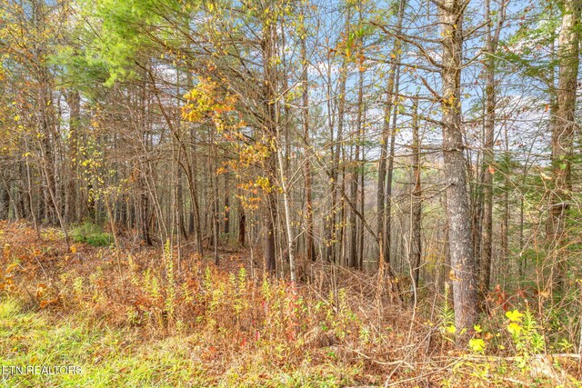167 Balfour Dr, Harriman, TN 37748 - photo 6