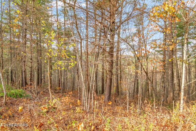 167 Balfour Dr, Harriman, TN 37748 - photo 7