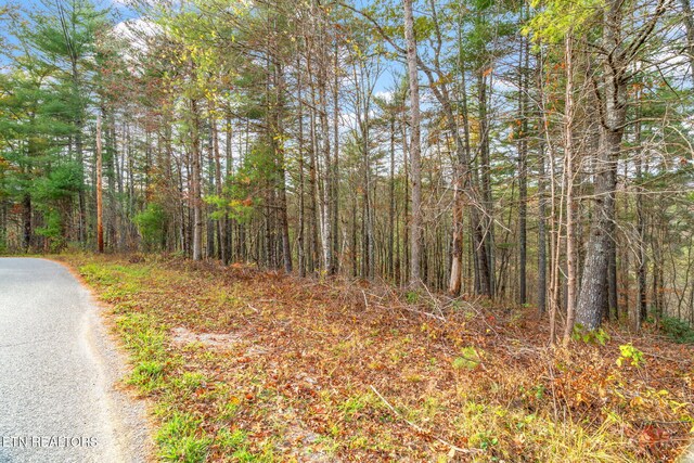 167 Balfour Dr, Harriman, TN 37748 - photo 8