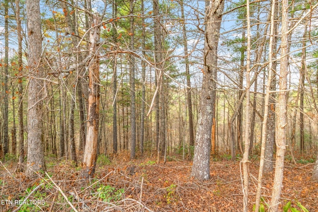 167 Balfour Dr, Harriman, TN 37748 - photo 9