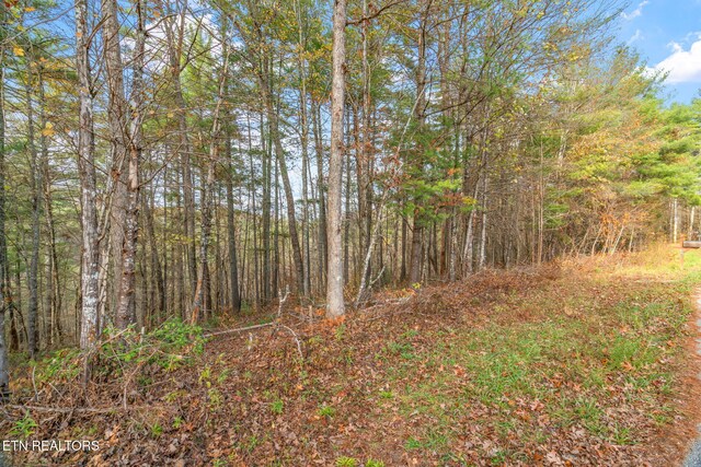 167 Balfour Dr, Harriman, TN 37748 - photo 2