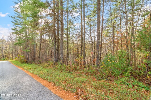 167 Balfour Dr, Harriman, TN 37748 - photo 13