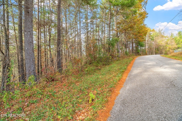 167 Balfour Dr, Harriman, TN 37748 - photo 14