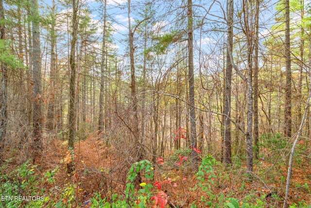 167 Balfour Dr, Harriman, TN 37748 - photo 15