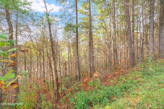 167 Balfour Dr, Harriman, TN 37748 - photo 16