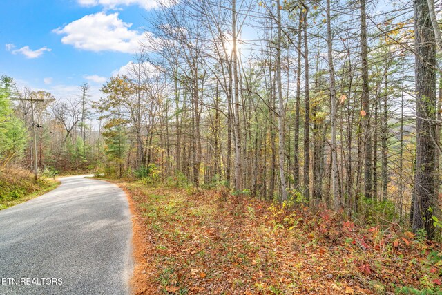 167 Balfour Dr, Harriman, TN 37748 - photo 17
