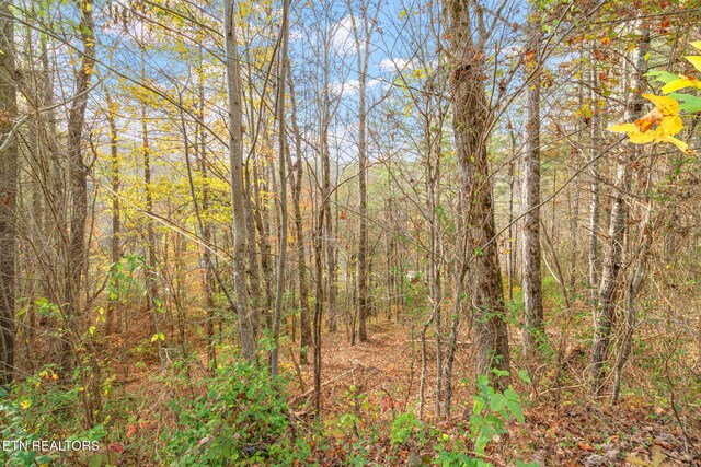 167 Balfour Dr, Harriman, TN 37748 - photo 18