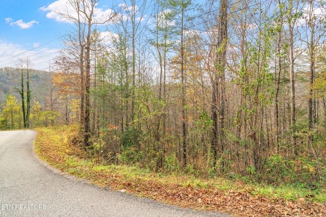 167 Balfour Dr, Harriman, TN 37748 - photo 19