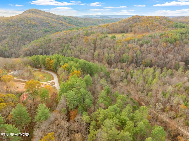 167 Balfour Dr, Harriman, TN 37748 - photo 24