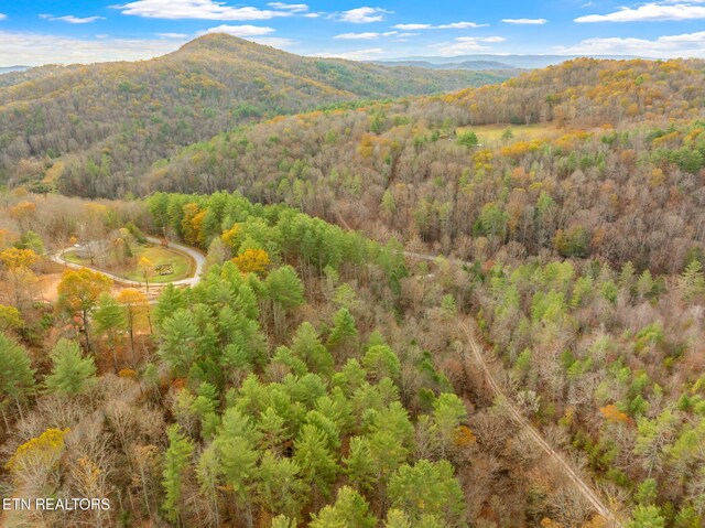 167 Balfour Dr, Harriman, TN 37748 - photo 25