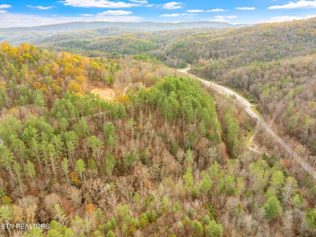 167 Balfour Dr, Harriman, TN 37748 - photo 27