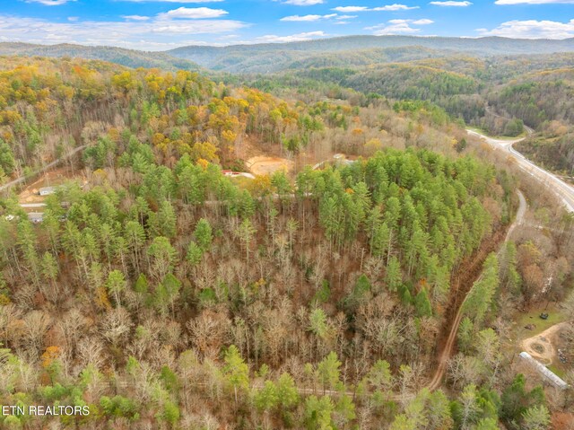 167 Balfour Dr, Harriman, TN 37748 - photo 28