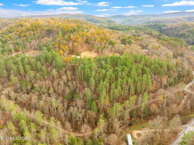 167 Balfour Dr, Harriman, TN 37748 - photo 29