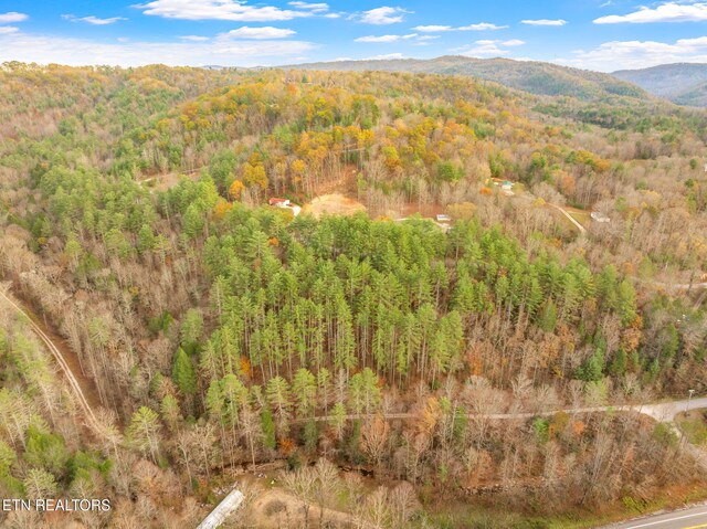 167 Balfour Dr, Harriman, TN 37748 - photo 30