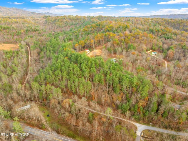 167 Balfour Dr, Harriman, TN 37748 - photo 31