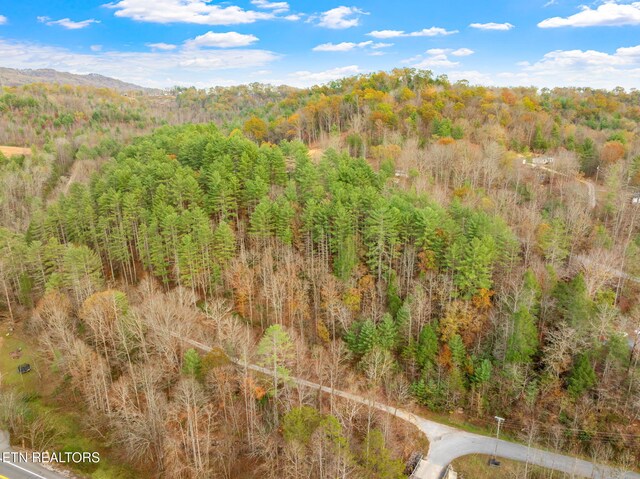 167 Balfour Dr, Harriman, TN 37748 - photo 32