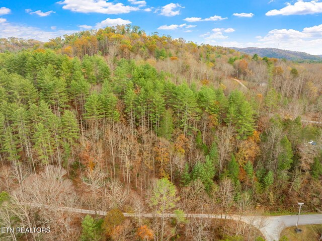 167 Balfour Dr, Harriman, TN 37748 - photo 33