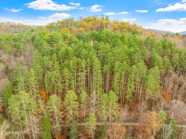 167 Balfour Dr, Harriman, TN 37748 - photo 34