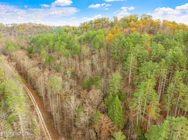 167 Balfour Dr, Harriman, TN 37748 - photo 35
