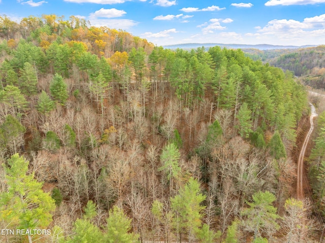 167 Balfour Dr, Harriman, TN 37748 - photo 36