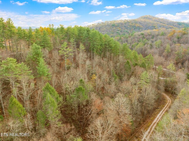 167 Balfour Dr, Harriman, TN 37748 - photo 37