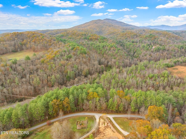 167 Balfour Dr, Harriman, TN 37748 - photo 39