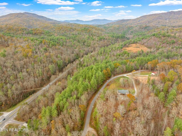 167 Balfour Dr, Harriman, TN 37748 - photo 40