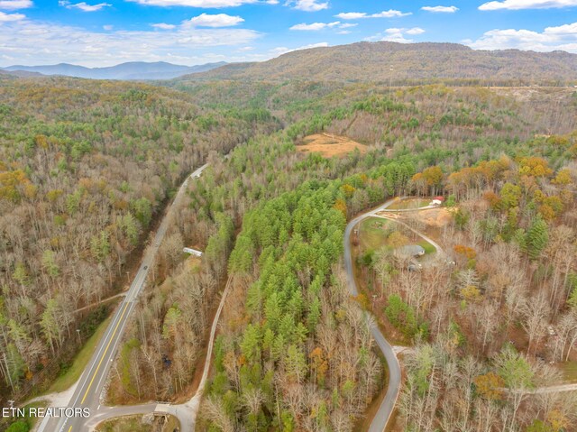 167 Balfour Dr, Harriman, TN 37748 - photo 41