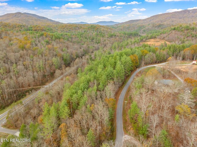 167 Balfour Dr, Harriman, TN 37748 - photo 42