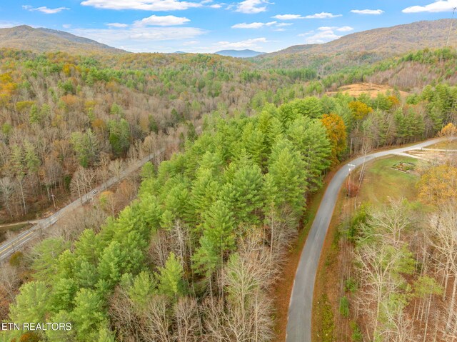 167 Balfour Dr, Harriman, TN 37748 - photo 43