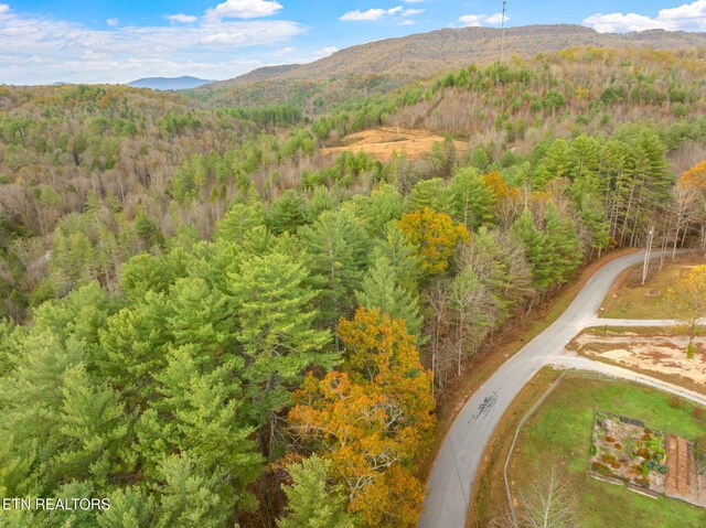 167 Balfour Dr, Harriman, TN 37748 - photo 44