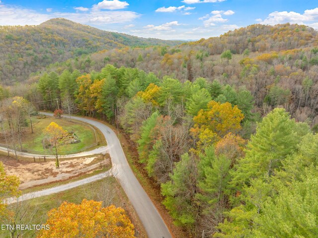167 Balfour Dr, Harriman, TN 37748 - photo 45