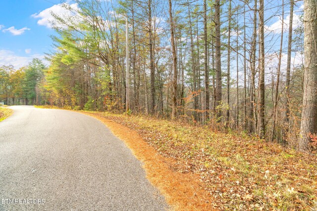 167 Balfour Dr, Harriman, TN 37748 - photo 46
